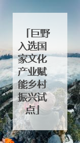 巨野入选国家文化产业赋能乡村振兴试点