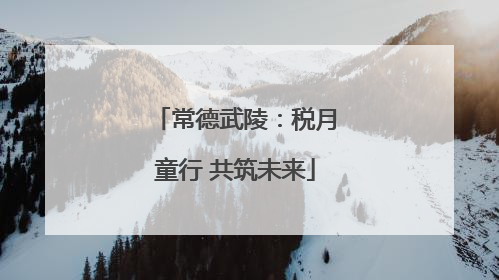 常德武陵：税月童行 共筑未来
