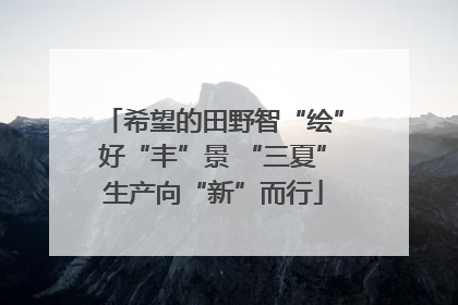 希望的田野智“绘”好“丰”景 “三夏”生产向“新”而行