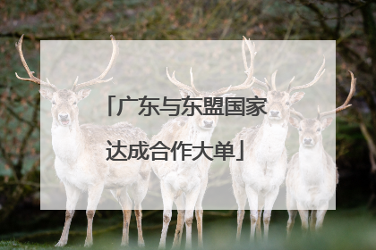 广东与东盟国家达成合作大单