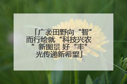 广袤田野向“智”而行绘就“科技兴农”新图景 好“丰”光传递新希望