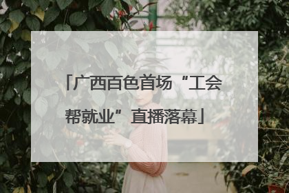 广西百色首场“工会帮就业”直播落幕