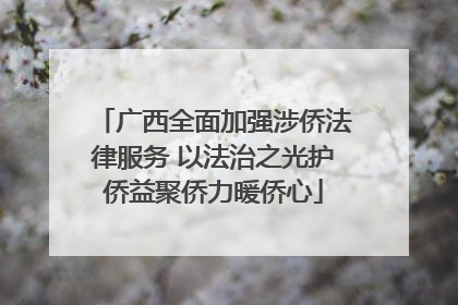 广西全面加强涉侨法律服务 以法治之光护侨益聚侨力暖侨心