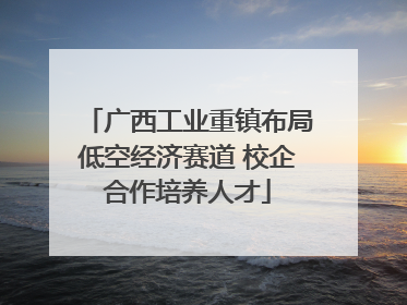 广西工业重镇布局低空经济赛道 校企合作培养人才