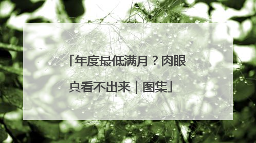 年度最低满月？肉眼真看不出来｜图集