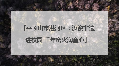 平顶山市湛河区：汝瓷非遗进校园 千年窑火润童心
