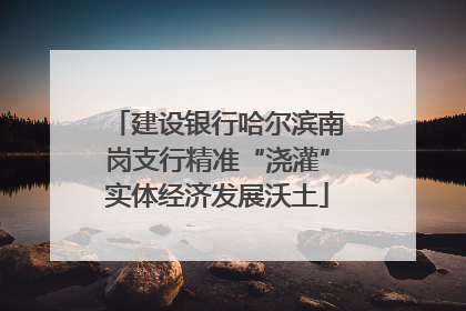 建设银行哈尔滨南岗支行精准“浇灌”实体经济发展沃土