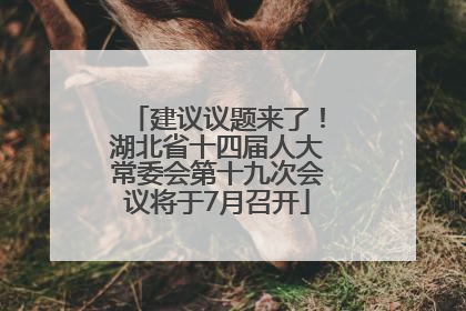 建议议题来了！湖北省十四届人大常委会第十九次会议将于7月召开