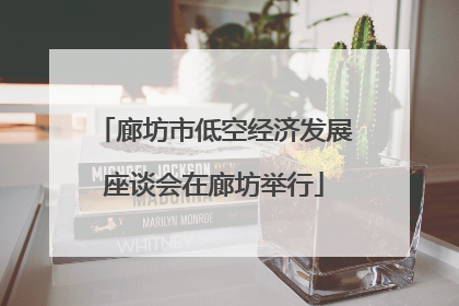 廊坊市低空经济发展座谈会在廊坊举行
