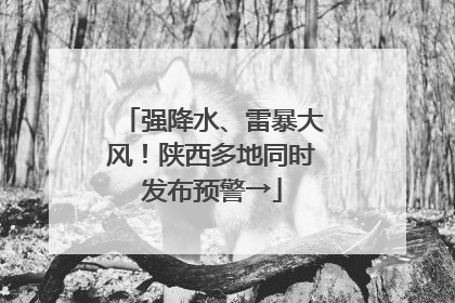 强降水、雷暴大风！陕西多地同时发布预警→