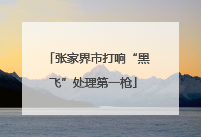 张家界市打响“黑飞”处理第一枪