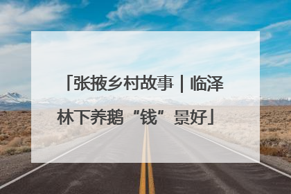 张掖乡村故事｜临泽林下养鹅“钱”景好