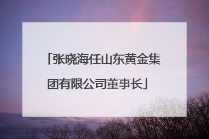 张晓海任山东黄金集团有限公司董事长
