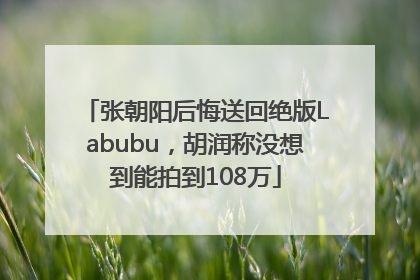 张朝阳后悔送回绝版Labubu，胡润称没想到能拍到108万