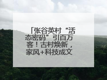 张谷英村“活态密码”引百万客！古村焕新，家风+科技成文旅融合新爆点
