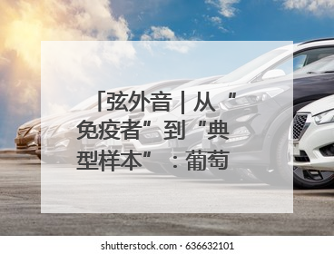 弦外音｜从“免疫者”到“典型样本”：葡萄牙极右翼崛起背后的欧洲困局
