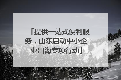 提供一站式便利服务，山东启动中小企业出海专项行动