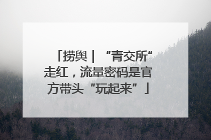 捞舆｜“青交所”走红，流量密码是官方带头“玩起来”