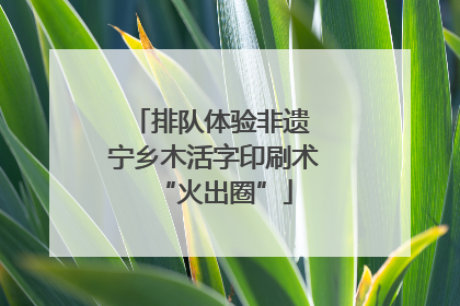 排队体验非遗 宁乡木活字印刷术“火出圈”