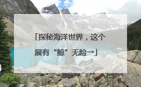 探秘海洋世界，这个展有“鲸”无险→