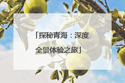 探秘青海：深度全景体验之旅