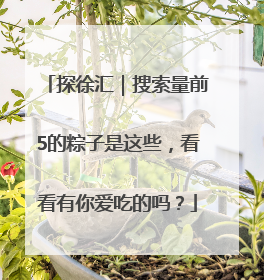 探徐汇｜搜索量前5的粽子是这些，看看有你爱吃的吗？