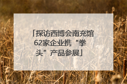 探访西博会南充馆 62家企业携“拳头”产品参展