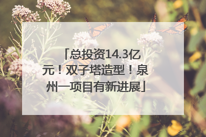总投资14.3亿元！双子塔造型！泉州一项目有新进展