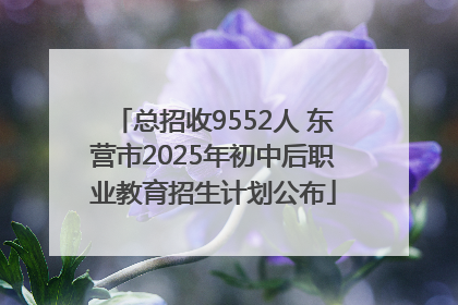 总招收9552人 东营市2025年初中后职业教育招生计划公布