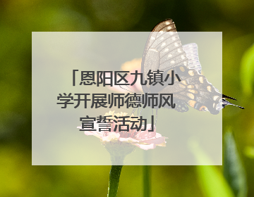 恩阳区九镇小学开展师德师风宣誓活动