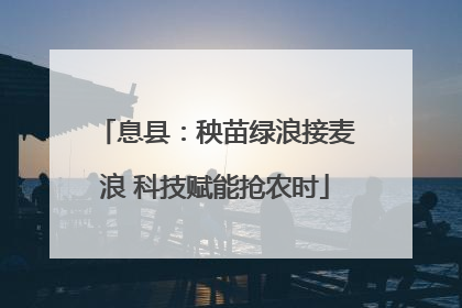 息县：秧苗绿浪接麦浪 科技赋能抢农时