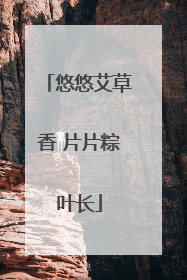 悠悠艾草香 片片粽叶长