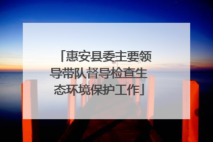 惠安县委主要领导带队督导检查生态环境保护工作