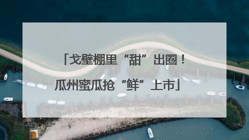 戈壁棚里“甜”出圈！瓜州蜜瓜抢“鲜”上市