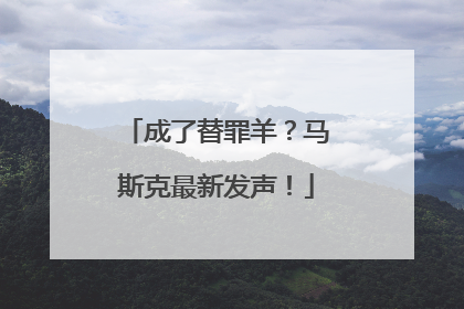 成了替罪羊？马斯克最新发声！
