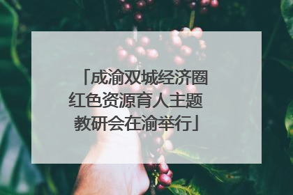 成渝双城经济圈红色资源育人主题教研会在渝举行