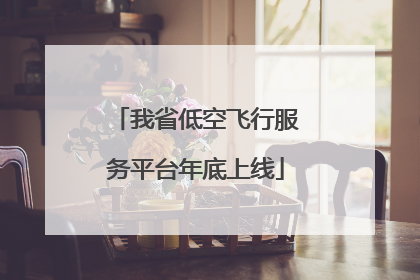 我省低空飞行服务平台年底上线