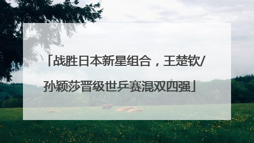 战胜日本新星组合，王楚钦/孙颖莎晋级世乒赛混双四强