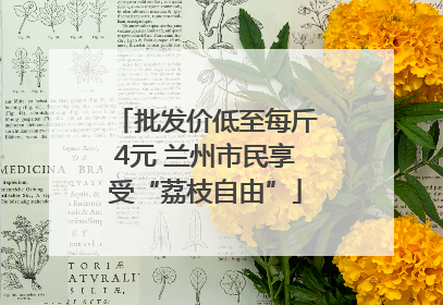 批发价低至每斤4元 兰州市民享受“荔枝自由”