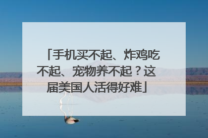 手机买不起、炸鸡吃不起、宠物养不起？这届美国人活得好难