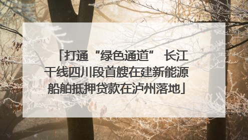 打通“绿色通道” 长江干线四川段首艘在建新能源船舶抵押贷款在泸州落地