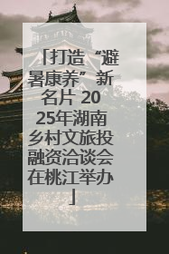 打造“避暑康养”新名片 2025年湖南乡村文旅投融资洽谈会在桃江举办