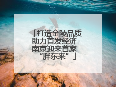 打造金陵品质 助力首发经济 南京迎来首家“胖东来”