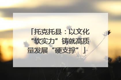托克托县：以文化“软实力”铸就高质量发展“硬支撑”