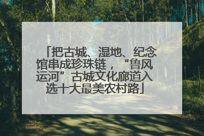 把古城、湿地、纪念馆串成珍珠链，“鲁风运河”古城文化廊道入选十大最美农村路