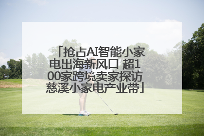 抢占AI智能小家电出海新风口 超100家跨境卖家探访慈溪小家电产业带