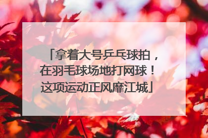 拿着大号乒乓球拍，在羽毛球场地打网球！这项运动正风靡江城