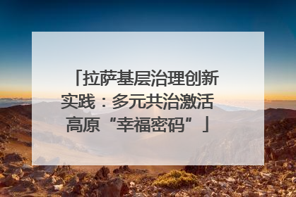 拉萨基层治理创新实践：多元共治激活高原“幸福密码”