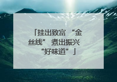 挂出致富 “金丝线” 煮出振兴“好味道”