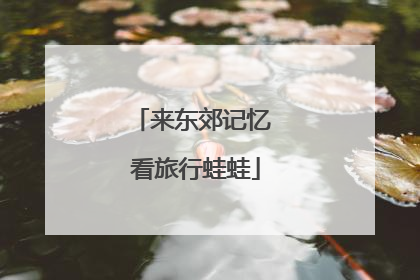 来东郊记忆 看旅行蛙蛙